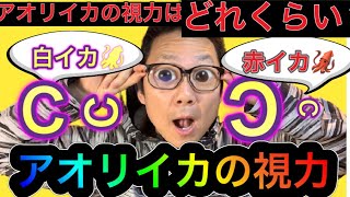 アオリイカの視力はどれくらい？水中ではどれくらい見えてるの？どこまで見えるの？まだまだ分からないことだらけのアオリイカの習性。その一つに視力があります。さて、どこまで見えているのでしょうか？