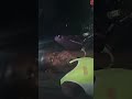 Tazama Msanii Wa Usangu Mbeya Akichapa Kazi Ndani Ya Mbasha Studio рџЋ пёЏ Mtimbila Na Produc MAFENYA Tazama Msanii Wa Usangu Mbeya Akichapa Kazi Ndani Ya Mbasha Studio рџЋ пёЏ Mtimbila Na Produc MAFENYA