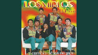 Video thumbnail of "Los Mirlos - Sal y Agua"