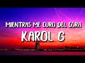 Karol G - Mientras Me Curo Del Cora (Letra/Lyrics)