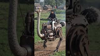 #ostrich#birds#enginesound#engine#robot#riding#ai#ostrichsounds