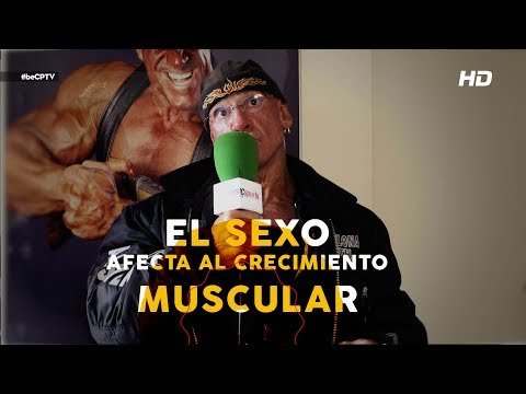 Vídeo: Sexo E Musculatura