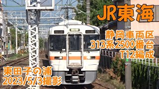 ＜JR東海＞静岡車両区313系2500番台T12編成 東田子の浦　2023/5/3撮影／JR-Central 313-2500 T12 Higashi-Tagonoura