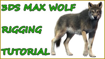 3DS MAX WOLF RIGGING TUTORIAL - PART 3