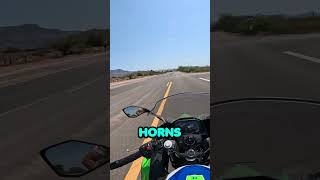 Onomatopoeias are hard! #sportbike #bikelife #motovlog #automobile