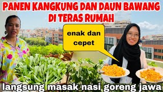 Download Lagu PANEN KANGKUNG,DAUN BAWANG DI BALKONI RUMAH DAN MASAKIN PUTRIKU NASI GORENG JAWA HE HE MP3 Download Lagu PANEN KANGKUNG,DAUN BAWANG DI BALKONI RUMAH DAN MASAKIN PUTRIKU NASI GORENG JAWA HE HE MP3