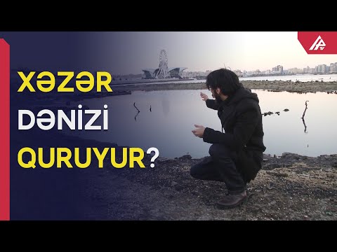 Video: Dəniz suyu homojen qarışıqdırmı?