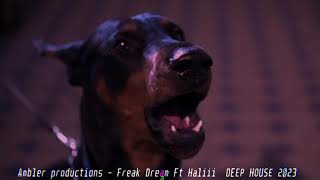 Ambler Productions - Freak Dreams (original mix deep house 2023)