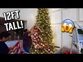 PUTTING UP MY CHRISTMAS TREE! **OMG**