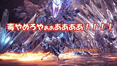 Mhworld 攻撃重視 団旗槍 導きの星 麻痺ランス装備その 解説 Youtube