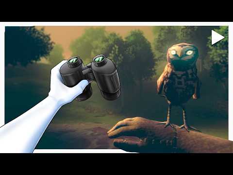 A Horror Game About Bird Watching