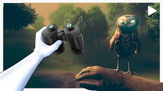 A Horror Game About Bird Watching screenshot 4