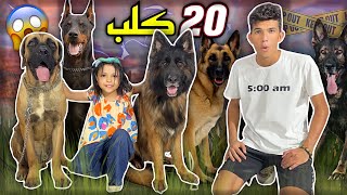 اصغر مربيه كلاب في مصر | طفله عندها 20 كلب 😱