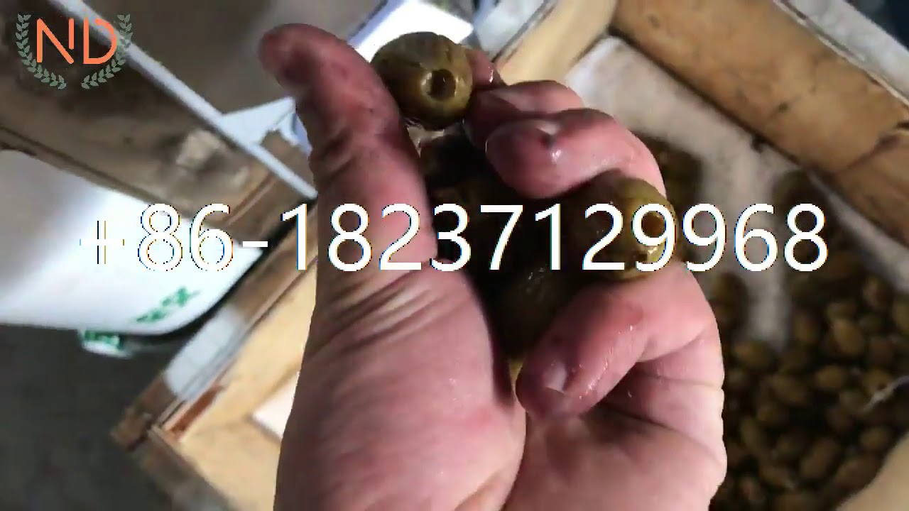 olive date seed core kernel separator remove pitting extractor machine ...