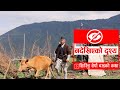 हिमालमा बस्ने छिरिङ शेर्पा दाइको कथा || Nadekhieko Drisya EP 1, जिबन कथा,Chiringa Sherpa.