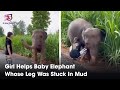 Girl Helps Baby Elephant Whose Leg Was Stuck In Mud | 3 Min News