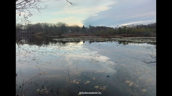 Goodwin Park