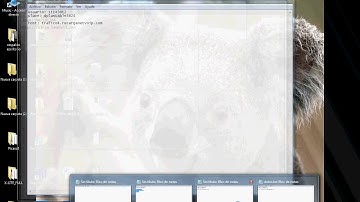 Como Instalar Softphone X-lite con Recarganet Voip