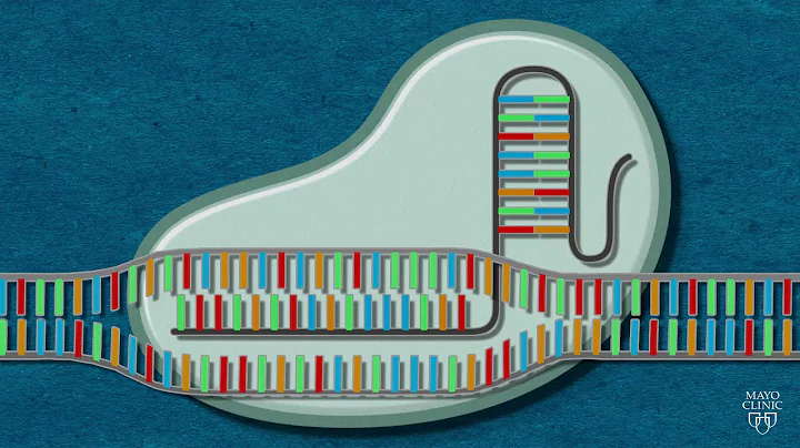 CRISPR Explained - DayDayNews