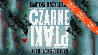 Czarne Ptaki Autor Bartosz Szczygielski Lektor Mariusz Bonaszewski Kryminay Po Polsku Book Pl