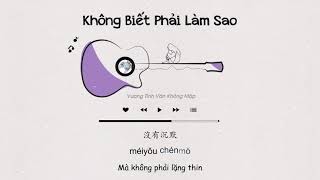 Video thumbnail of "[Vietsub + Tiktok] Không Biết Phải Làm Sao - Vương Tĩnh Văn Không Mập | 不知所措 - 王靖雯不胖"