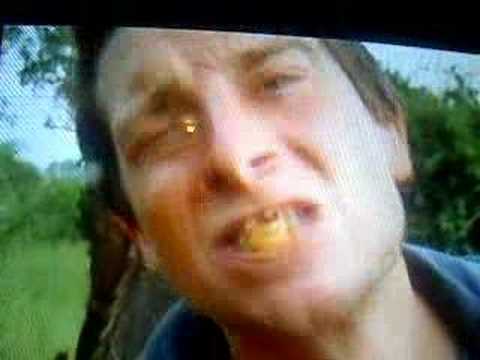 bears grylls gets some grub literally youtube grubs picture