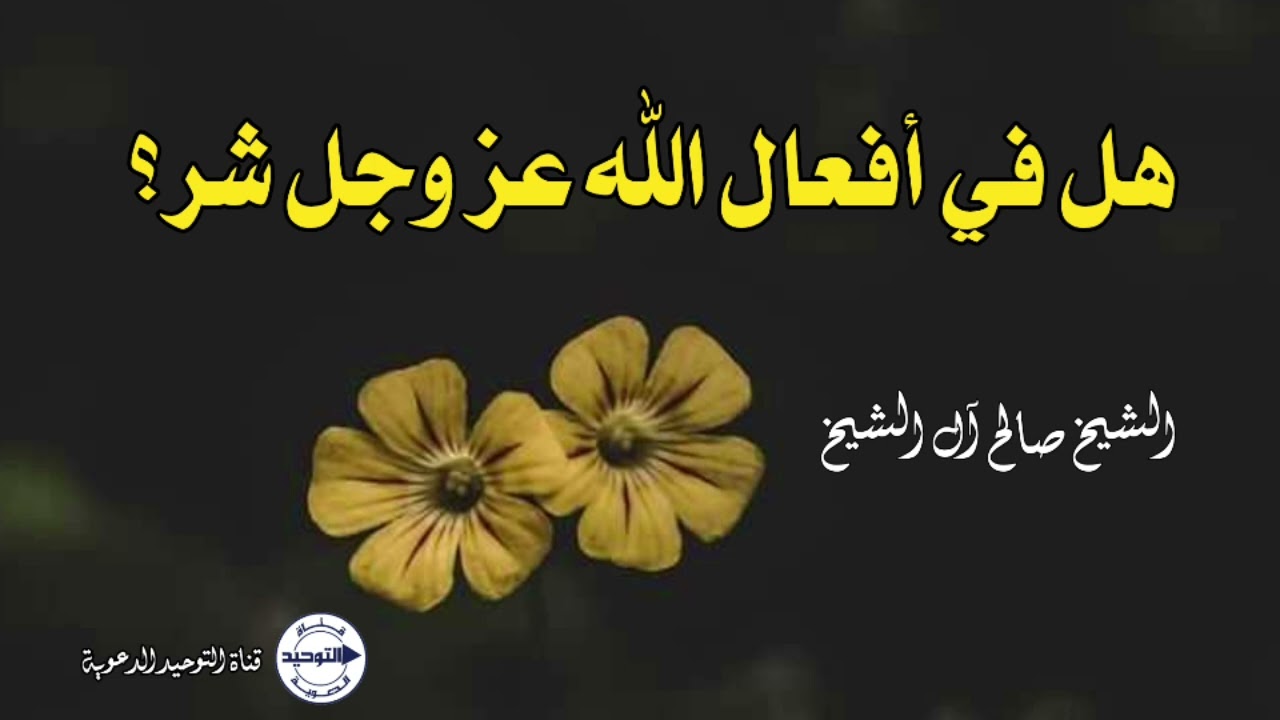 هل في أفعال الله عز وجل شر؟ | الشيخ صالح آل الشيخ