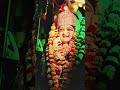 मां नर्मदे हर