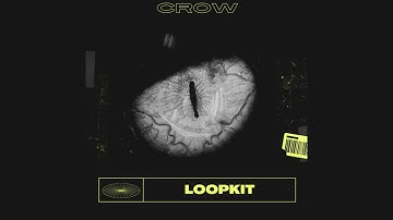 (FREE) SAMPLE PACK / LOOP KIT - "CROW" (Cubeatz, Pvlace, Wheezy) | prod. Trip Beatz