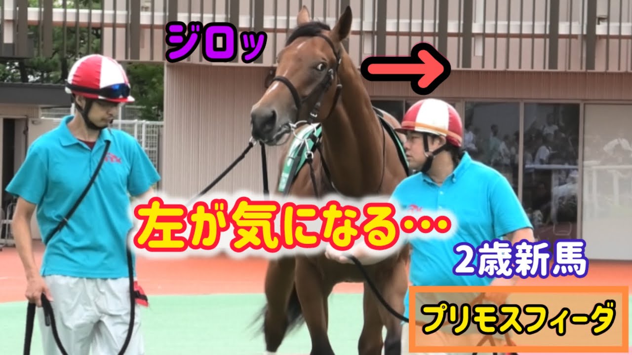 耳ピコピコして左側をジロッと警戒🚨プリモスフィーダ