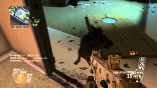 Black Ops 2- Attack Dogs Trolling, Blocking Me, (WTF) (FAIL)