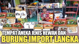 WAJAH BARU PASAR BURUNG DAN HEWAN PELIHARAAN BARITO JAKARTA SELATAN ! SETELAH DI REVITALITASI