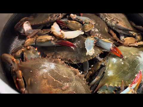 CRABS COOKED IN COCONUT MILK🥥 🦀-GINATAANG ALIMASAG #mystylecooking #yummy #filipinofood