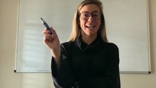 NEVER PAY TAXES AGAIN | Optimal Financial Independence Strategy