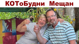 Работаем, отдыхаем, с Мусей общаемся, за птЫчками наблюдаем - мещане и их КОТоБудни от 13.05.2024 г.