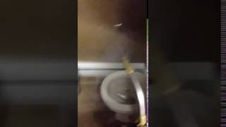 Throwing a firecracker in the toilet.mp4