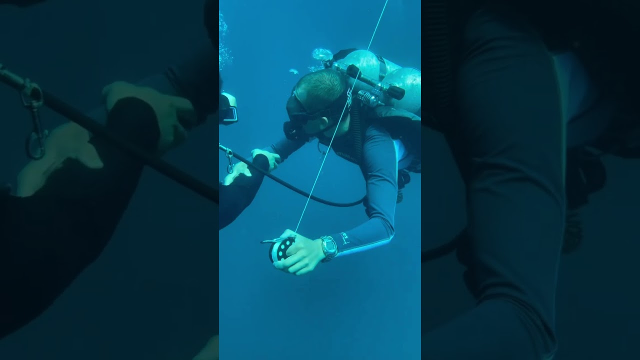 How to Share Air Safely During Your Safety Stop | Reef Oasis Diving Center, Fujairah