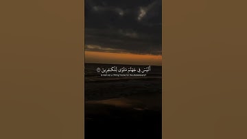 إنك ميت وإنهم ميتون. #سورة_الزمر #ياسر_الدوسري