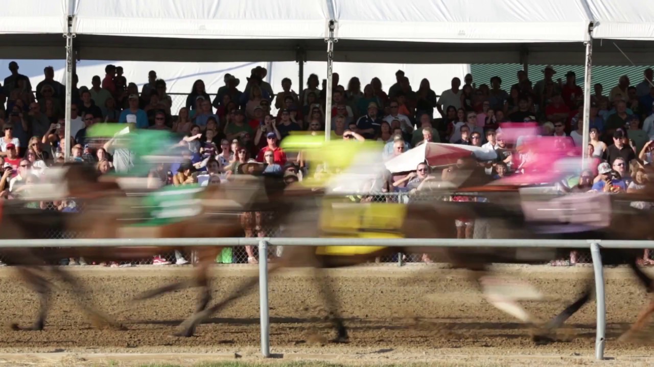 slbn live racing