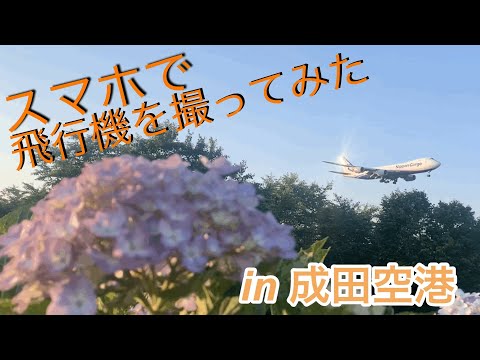 【iphoneで】VLOG 飛行機撮影in成田空港