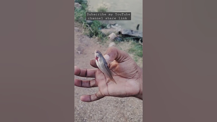 Jalla fish ಜಲ್ಲ చేపపిల్ల #viral #like #trending #fishing #subscribe #village #fishingvideo 🎣🎣🎣🎣🎣🎣🎣🎣🎣