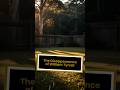 The Vanishing of William Tyrrell #missingperson #investigation