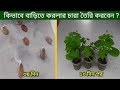 করলা বীজ থেকে চারা তৈরি | করলা চাষ পদ্ধতি | Bitter gourd Seed Germination Bangla