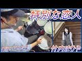 特別な恋人 / 竹内まりや【ドラム】【叩いてみた】