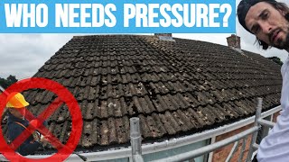 How I clean a really mossy roof (Gently)