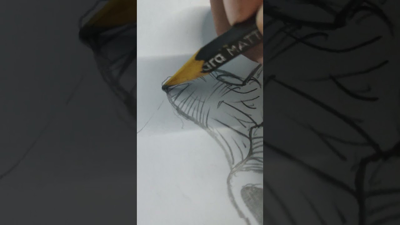 skeleton head drawing || Mr shp || drawing