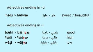 Libyan Arabic Adjectives I: the basics النعت screenshot 1