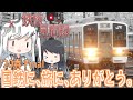 ミリアル「帰るというのになぜ岐阜へ…」【'20春 長野・中部鉄道旅行 4日目その4/CoeFont】