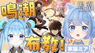 【#鳴潮 】2周年目前！！家猫ミアちゃんに鳴潮を布教するぞ！！！《雪咲ゆうか/家猫ミア》#wutheringwaves