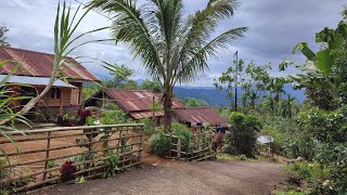 Download Lagu Trenyuh Liat Suku Jawa Pada Meninggalkan Kampung Ini, Trans 35 Pedalaman Bengkulu MP3